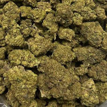 Emerald City Kush by the Unit 28g - 082825 (Economy)