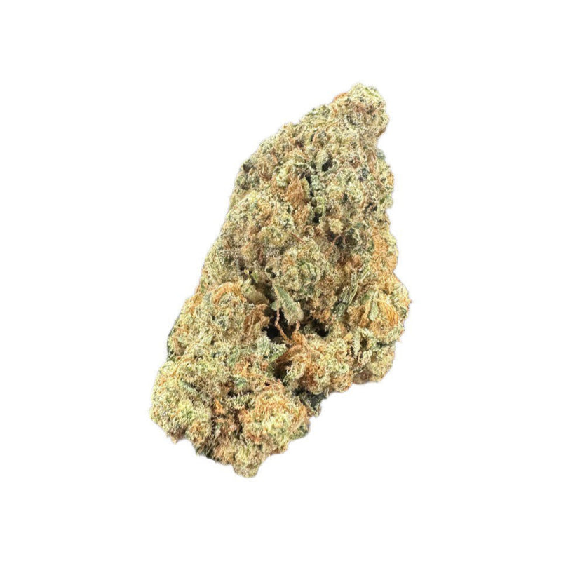 Close-up of a cannabis bud on a white background