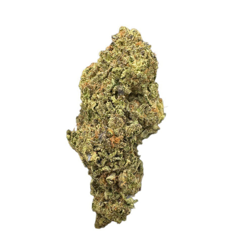 Moonbeam by the Unit 28g - 082325 (Economy)
