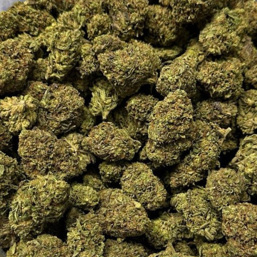 Purple Maze by the Unit 28g - 082725 (Economy)