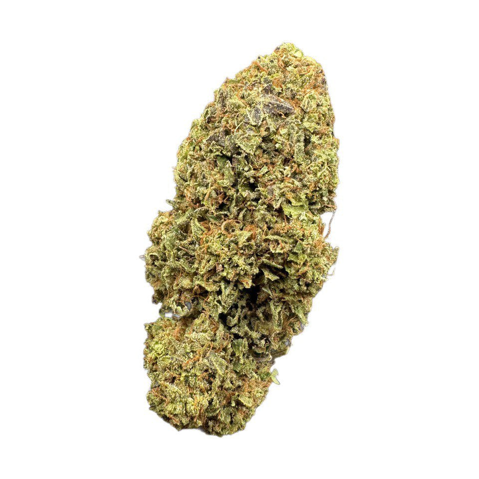 Purple Maze by the Unit 28g - 082725 (Economy)