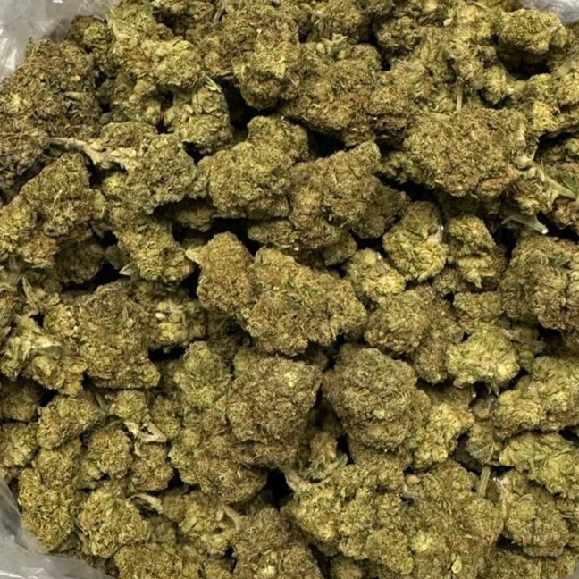 Space Dawg by the Unit 28g - 082225 (Economy)