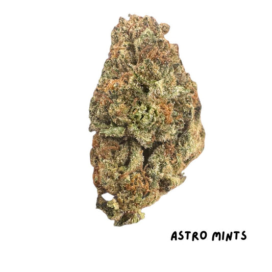 Astro Mints by the Units 101724 (Economy)