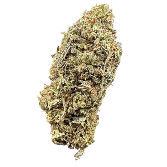 Black Domina by the Unit 28g - 091525 (Economy)