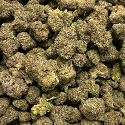 Alien Orange Cookies by the Unit 3.5g - 092425 (Exotic)
