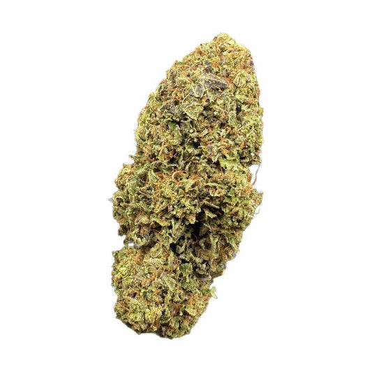 Purple Maze by the Unit 28g - 082725 (Economy)